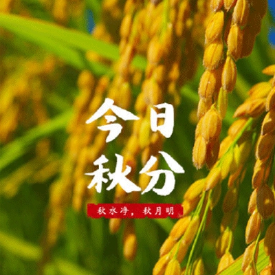 叶钊羽毛球运动员为什么没有消息｜“羽毛球名将叶钊隐退谜团揭晓：伤病休养，未来重返赛场引期待”-3