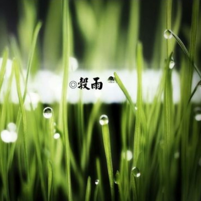 鉴定师app免费网站｜“艺术品鉴定新利器，免费平台助收藏之路焕发光彩”-5