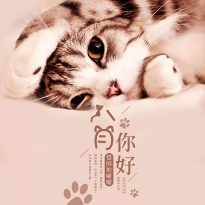 qqc十年沉淀2023更新｜QQC全新升级，十年磨一剑，视觉盛宴畅享无忧-4