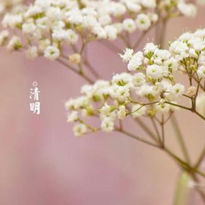 小舞打开腿露出小尿口｜“直播意外引发热议：“小舞”姿势曝光，网络监管与未成年人保护引关注”-4