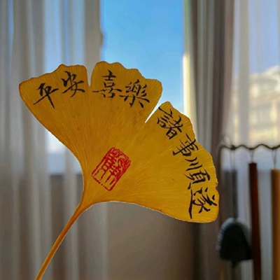 香港摄影师捆绑调教嫩模｜光影之境：揭秘摄影游戏《摄影师的调教》趣味之旅-3