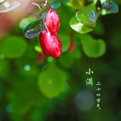 国产精品传媒｜文化明珠闪耀，匠心独运铸就东方新声-2