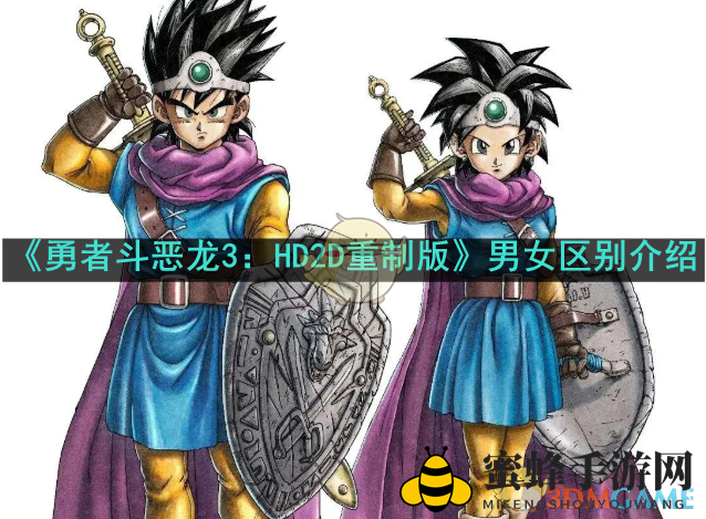 《勇者斗恶龙3：HD2D重制版》性别设定揭秘：A／B阵营外观差异大解析