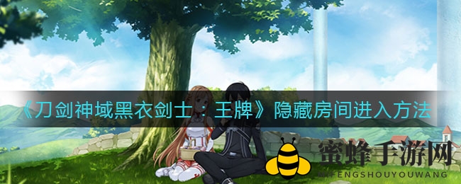 《刀剑神域黑衣剑士：王牌》探秘隐藏空间，解锁神秘钥匙攻略全解析