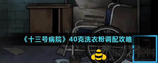 《十三号病院》洗衣粉秘籍：轻松调配40克，开启奇幻洗衣之旅