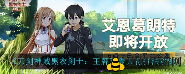 《刀剑神域黑衣剑士：王牌》食人花打法攻略