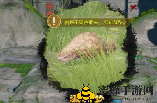 《剑网3》瀛洲梦宠物奇遇攻略