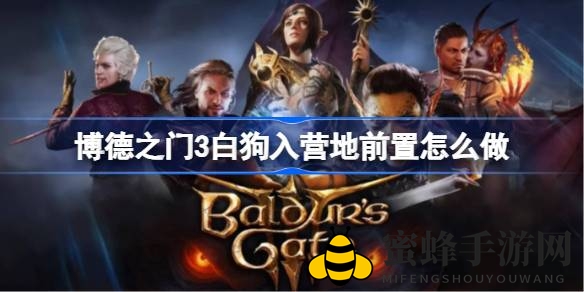 《博德之门3》白狗情缘：驯兽技能解锁忠诚伙伴归营之旅