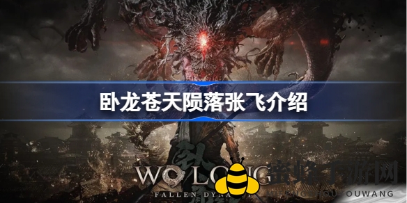 《卧龙苍天陨落》张飞传奇：勇猛武将背后的故事