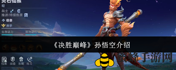巅峰猴王攻略：孙悟空多技能连招，轻松制胜战场