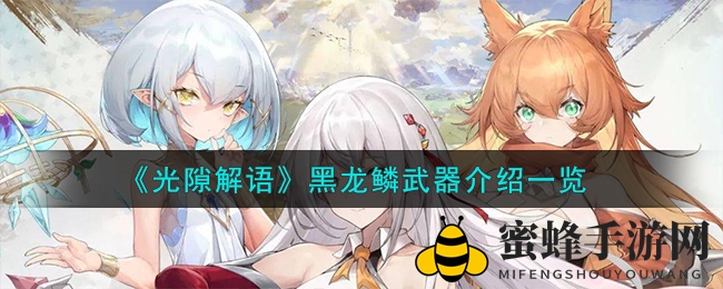 《光隙解语》黑龙鳞装备详解