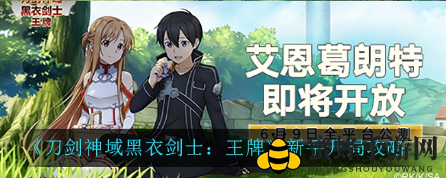刀剑神域：新手攻略揭秘，轻松闯荡游戏世界