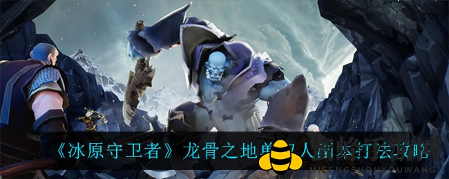 《冰原守卫者》龙骨之地攻略揭秘：单双人副本挑战技巧分享