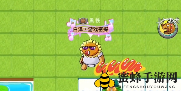 《别惹农夫》阳光开朗大男孩解锁秘籍