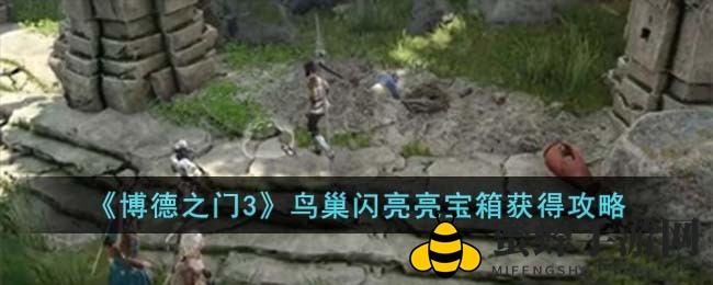 《博德之门3》揭秘：鸟巢宝箱宝藏攻略，寻宝之旅等你来！