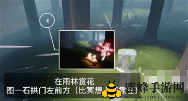 《光遇》2023花憩节赏花位置一览