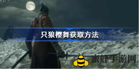 只狼樱舞绝技解锁攻略：一周目通关后Boss战挑战全解析