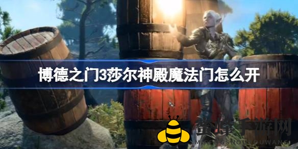 《博德之门3》莎尔神殿神秘魔法门开启奥秘揭秘攻略分享