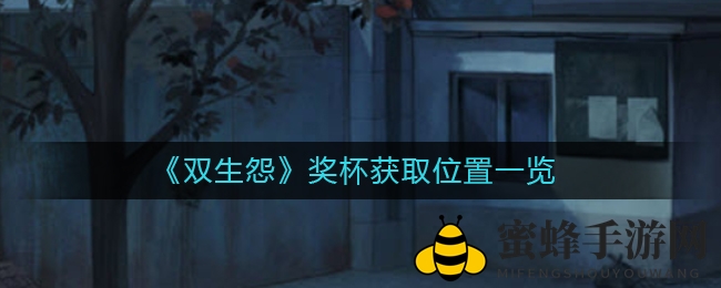 《双生怨》奖杯寻踪：揭秘隐藏宝藏之旅