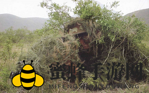 《全军出击》揭秘：空投箱神秘武器盘点，生存竞技新高度！