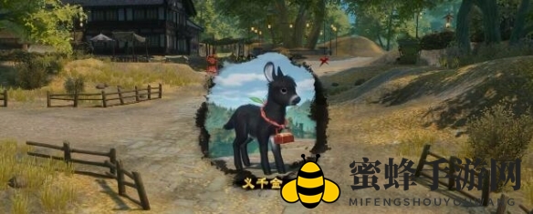 《剑网3》义千金宠物奇遇攻略