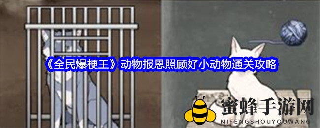 《全民爆梗王》动物报恩挑战攻略：趣味关卡攻略解析，轻松通关！