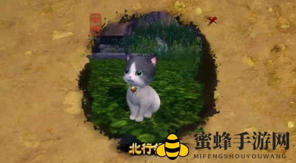 《剑网3手游》小叮当奇遇攻略