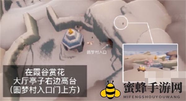 《光遇》2023花憩节赏花位置一览
