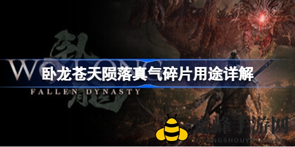 《卧龙：苍天陨落》真气碎片攻略，揭秘角色成长关键要素