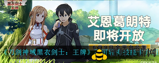 《刀剑神域黑衣剑士：王牌》神秘技能卡“不可轻侮”深度解析，解锁职业双手斧强大助力