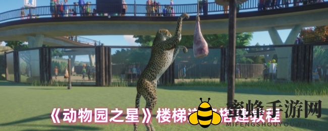 《动物园之星》攻略：创意楼梯搭建教程，提升建筑高度与美感