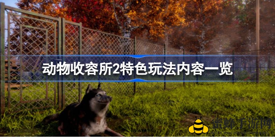 《动物收容所2》揭秘：打造温馨家园，体验关爱动物的乐趣