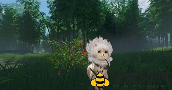 《剑网3》解心语宠物奇遇攻略