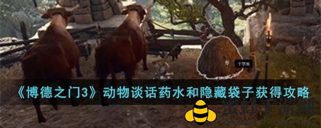 《博德之门3》独家攻略：揭秘动物交谈药水与隐藏袋子获取方法