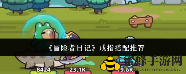 《冒险者日记》戒指搭配攻略：双护盾守护，皮银甲反击，寒冰项链助战