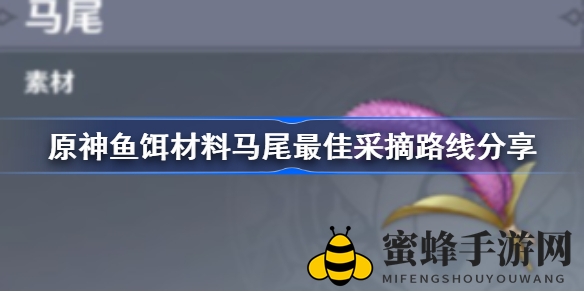 《原神》马尾材料攻略：揭秘高效采集路线，轻松钓鱼乐无边