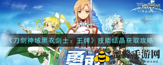 《刀剑神域黑衣剑士：王牌》技能结晶搜集秘籍