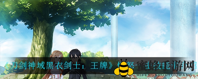 《刀剑神域》怒焰跃空，技能卡大揭秘：愤怒一击，剑舞风暴来袭