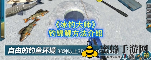 《冰钓大师》捕锦鲤秘籍：掌握技巧，钓获传说之鲤