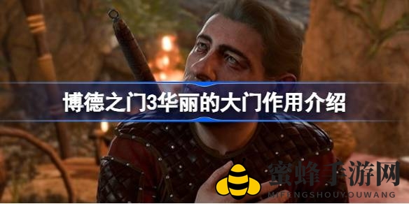 《博德之门3》神秘之门揭秘：华丽通道助你巧妙脱险