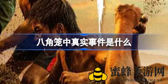八角笼中：格斗孤儿背后的真实故事，王宝强自导自演感人呈现
