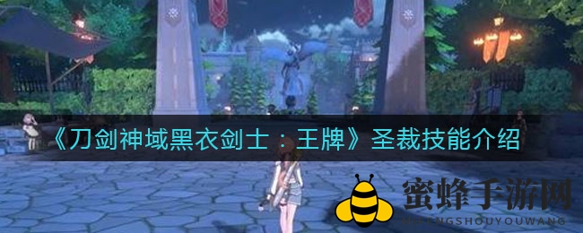 《刀剑神域黑衣剑士：王牌》圣裁技能详解