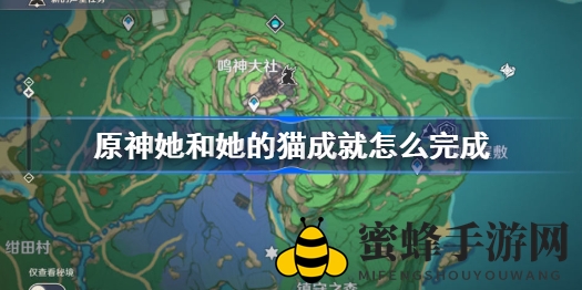 《原神》解锁神秘成就：探寻“她与她的猫咪”攻略全解析