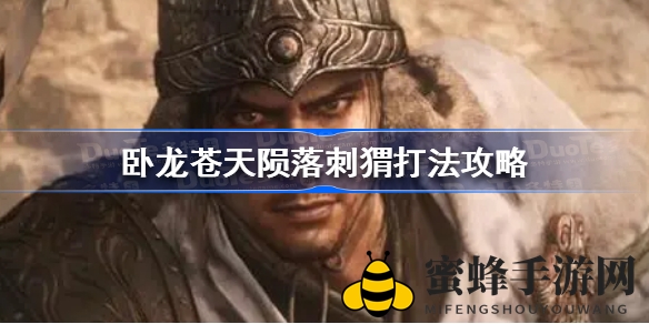 卧龙奇术解刺猬，轻松一击不爆炸