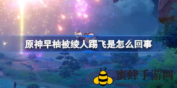 《原神》奇闻录：早柚“被踢飞”，揭开神里绫人神秘魅力面纱