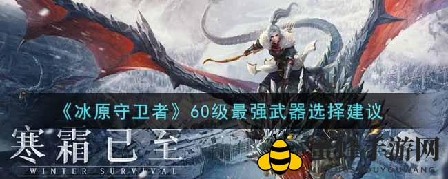 冰原探险家指南：揭秘60级武器挑选秘籍