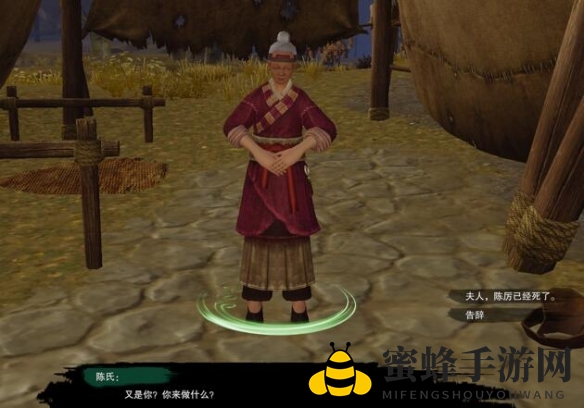 《剑网3》枉叹恨宠物奇遇攻略