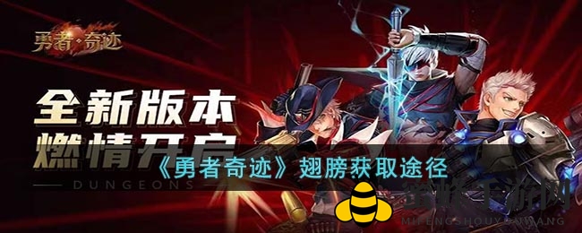 《勇者奇迹》揭秘：羽翼秘境，驾驭飞翔之美