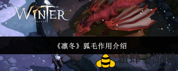 凛冬狐毛：揭秘隐藏服背后的奇幻奥秘