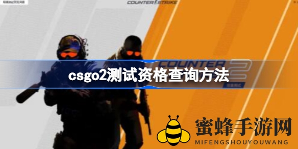 《反恐精英2》Beta测试资格揭秘：玩家必看查询攻略